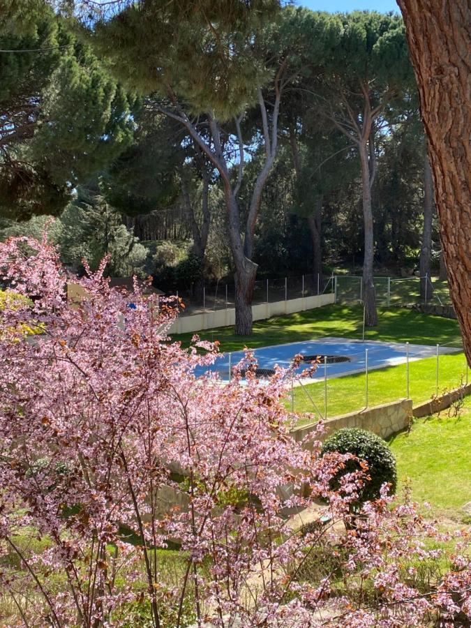 Apartamento Costa de madrid pronto San Martín de Valdeiglesias Exterior foto