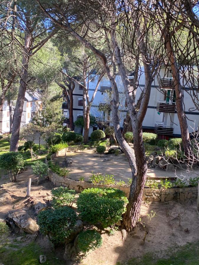 Apartamento Costa de madrid pronto San Martín de Valdeiglesias Exterior foto